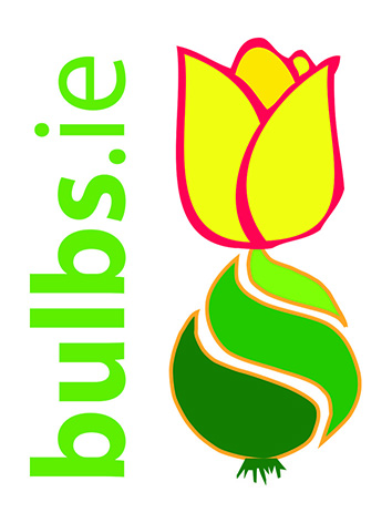 Bulbs.ie